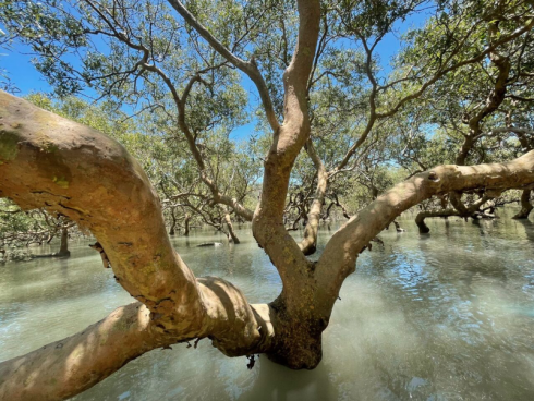 Sometimes Even the Shore Drowns – Climate Space