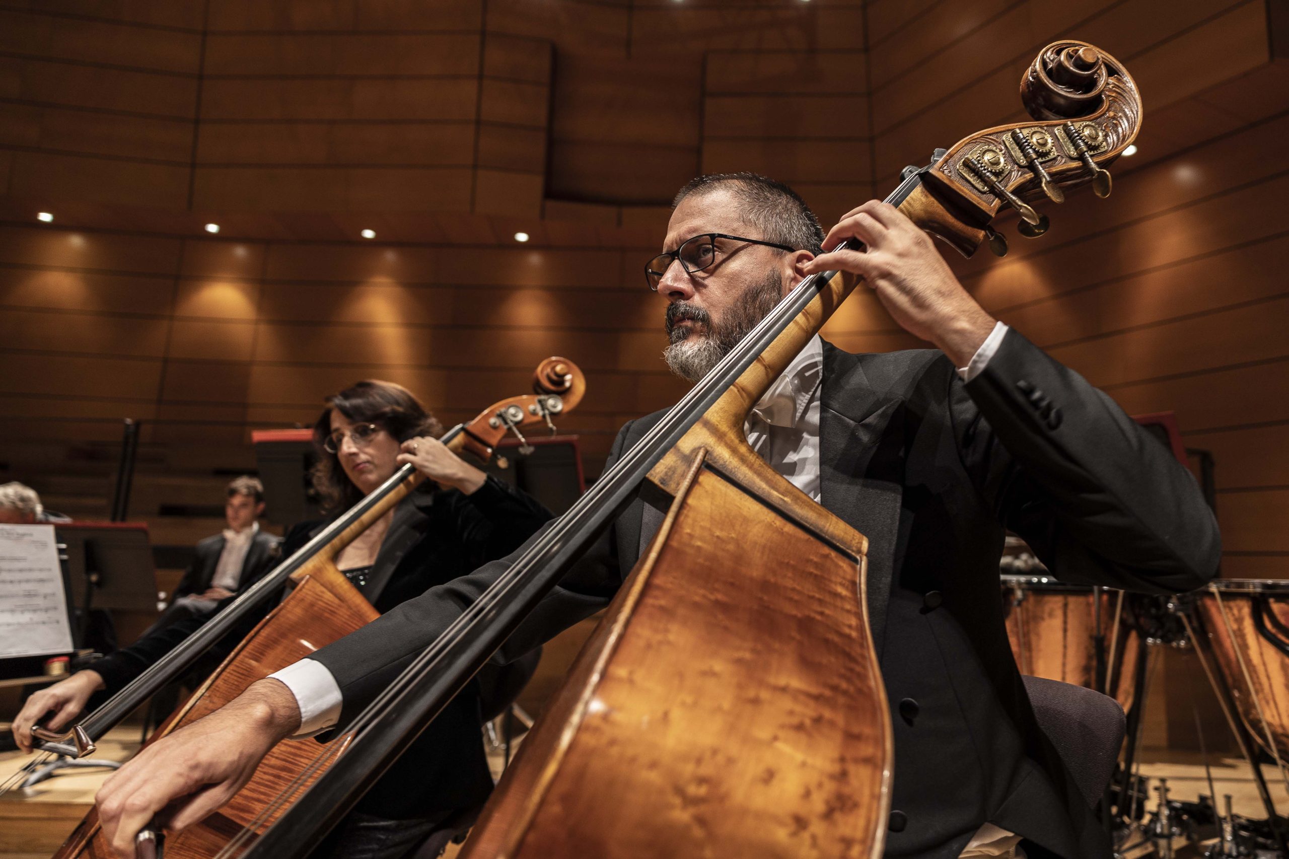 Direttore: James Feddeck, Contrabbasso: Paolo Speziale
