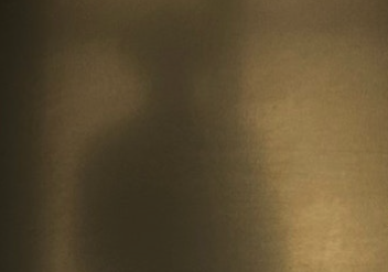 <em>Walden</em> – Ludovico Einaudi